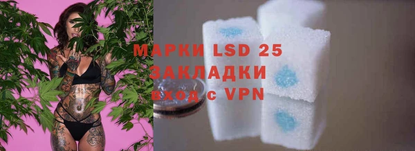 стафф Заводоуковск