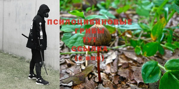 мдма Заволжск