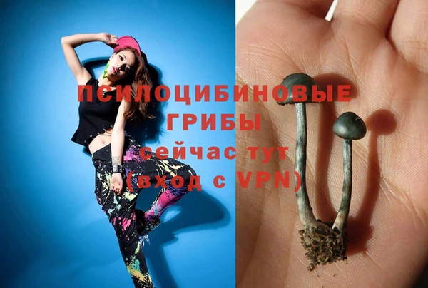 мдма Заволжск