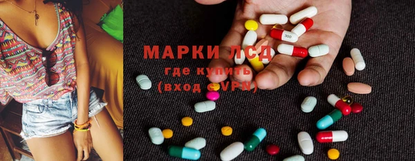 стафф Заводоуковск